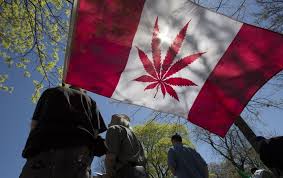 marijuana canada